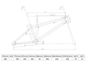 2024 CARRARO RAVE PRO BMX BİSİKLET - 7