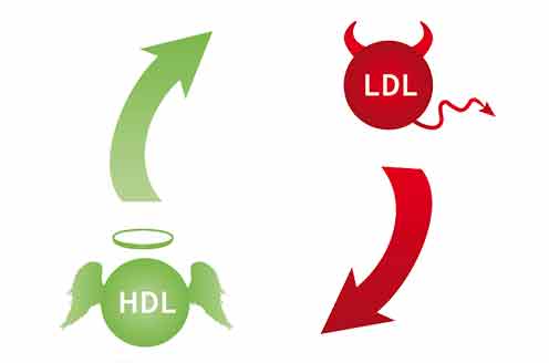 Bisiklet_kolestrol_HDL_LDL_2.jpg (6 KB)