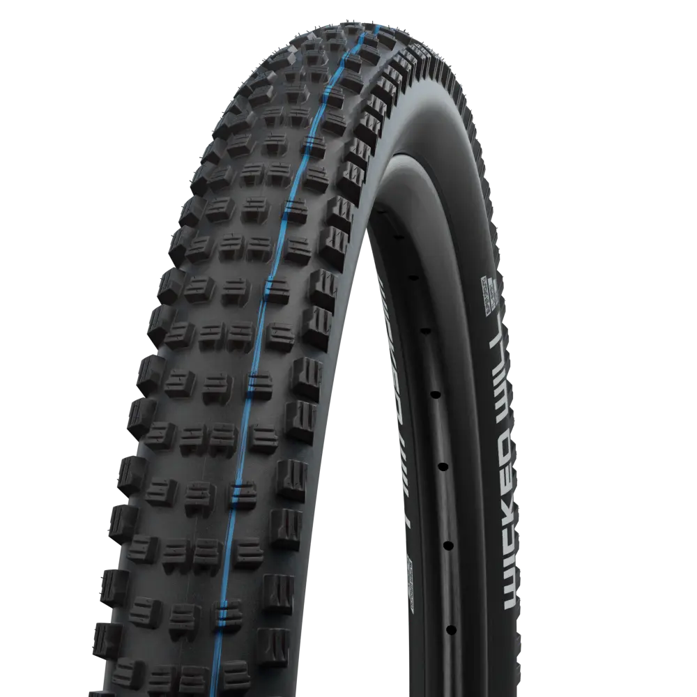 SCHWALBE WICKED WILL 29x2.40 TUBELESS EVO SUPER GROUND KATLANIR DIŞ LASTİK - 1